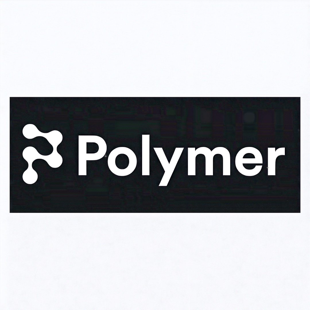 Polymer – No-Code BI & AI-Powered Data Visualization
