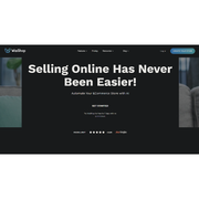 WiziShop — AI Powered E Commerce Store Builder With SEO Focus