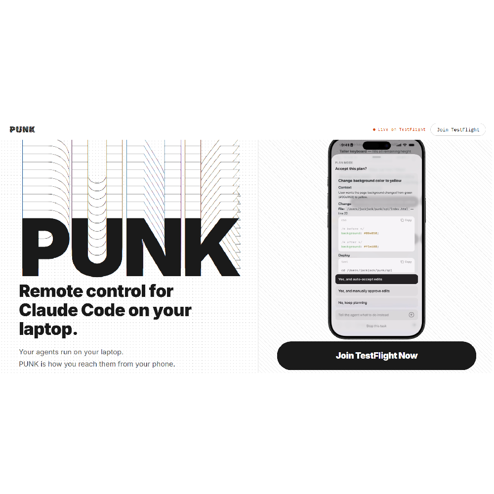 PUNK